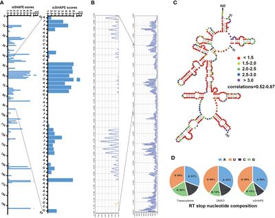 Frontiers In Vivo And In Vitro Genome Wide Profiling Of RNA Secondary